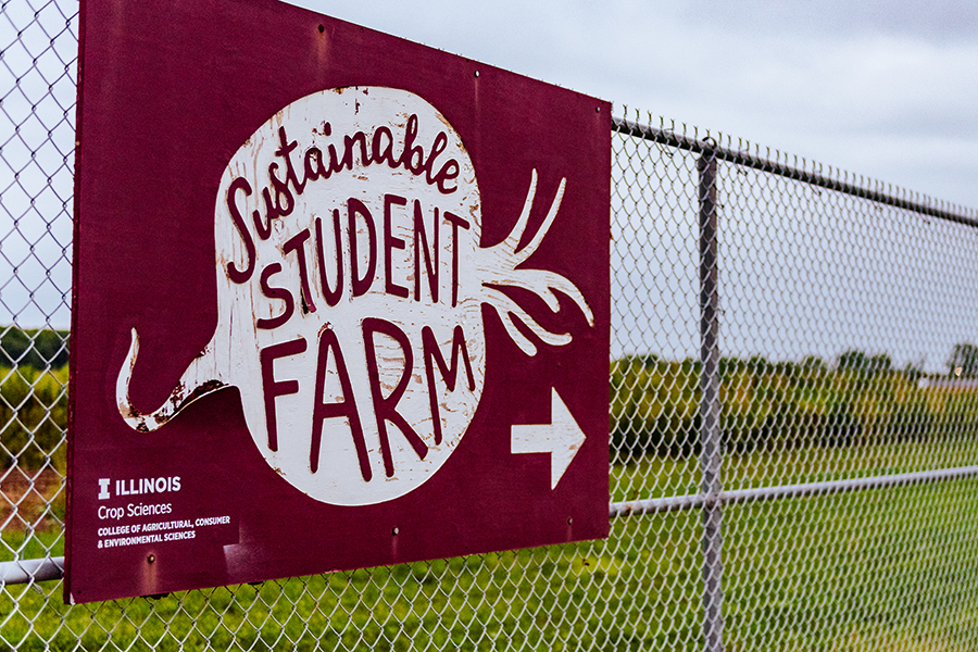 The Sustainable Student Farm is located at 3505 S. Lincoln Ave. in Urbana. The Department of Crop Sciences’ small farm certificate program — which includes training at the SSF — celebrated its first graduate, Lia Basden.