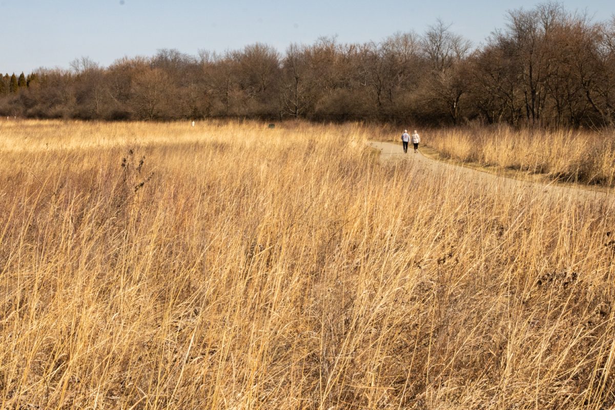 Two people take a morning walk through the Billee and Art Spomer Prairie at Meadowbrook Park in Urbana on Feb. 27. The park features several trails, dozens of sculptures and a playground.