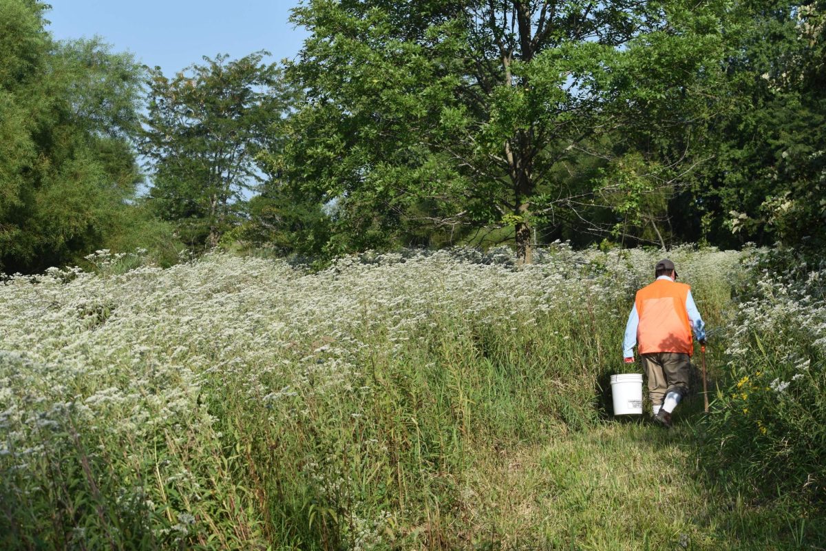 Grand Prairie Friends preserves prairies, fosters communities